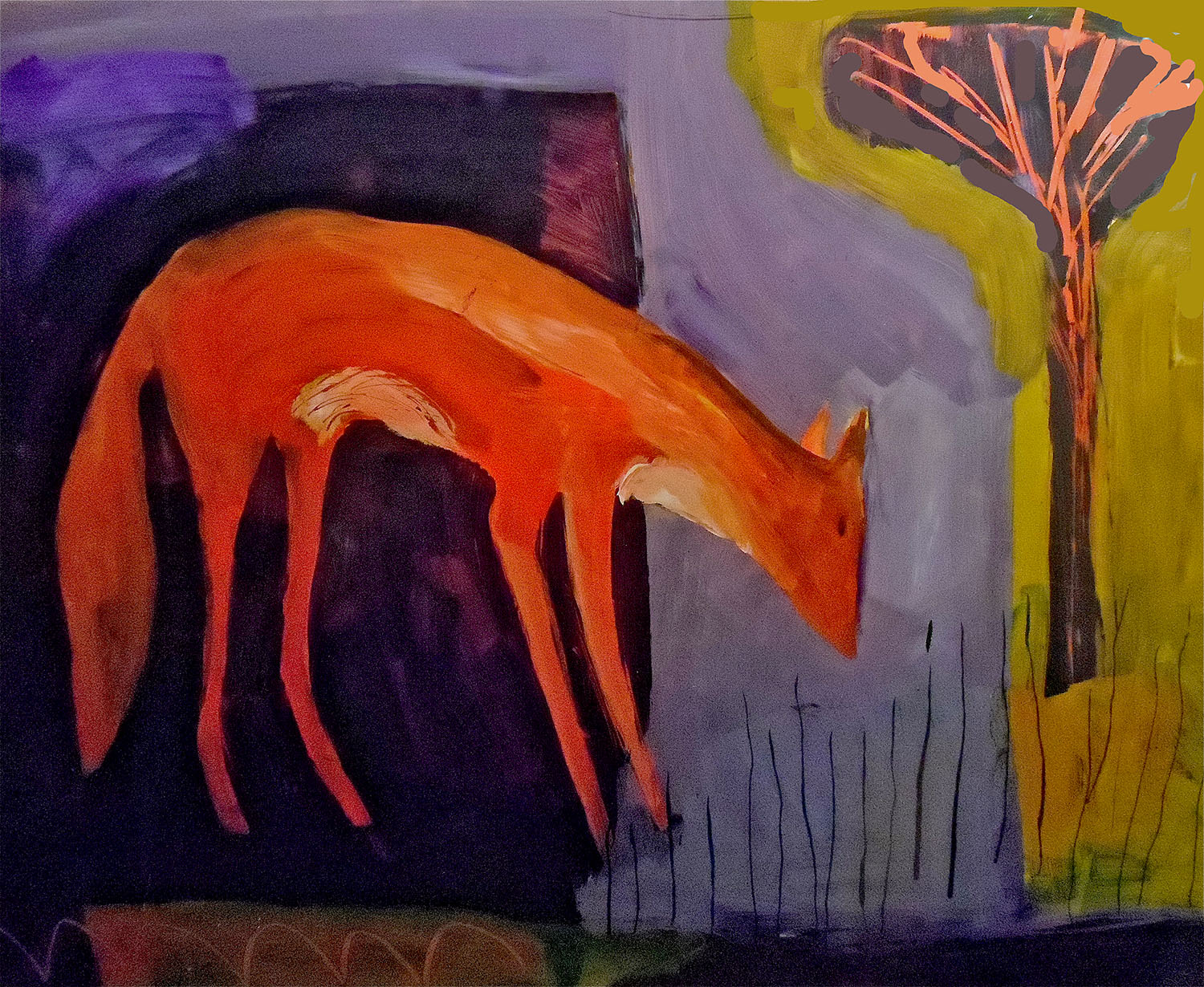 fox